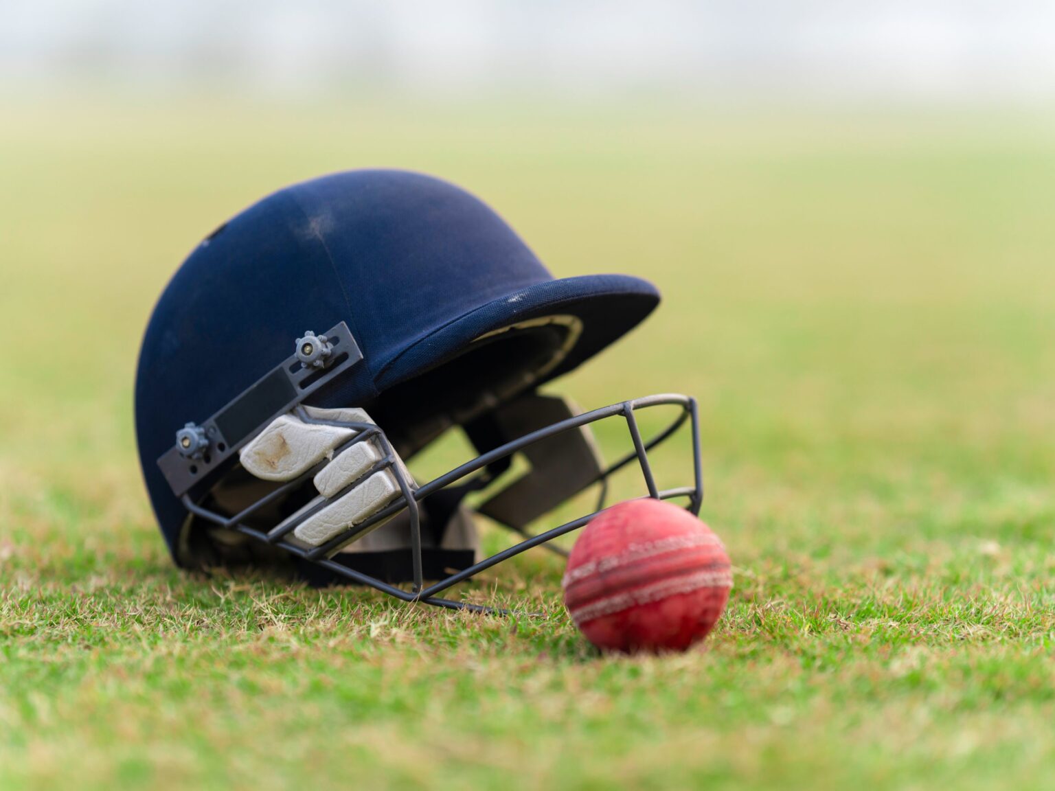 Cricket Play Area
