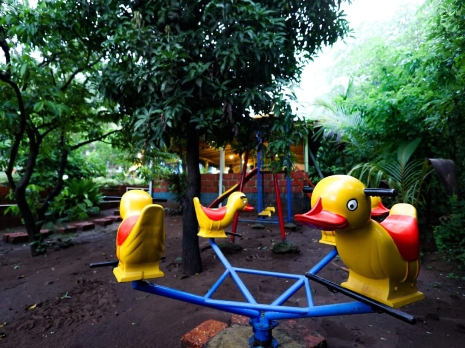 Kids Play Area